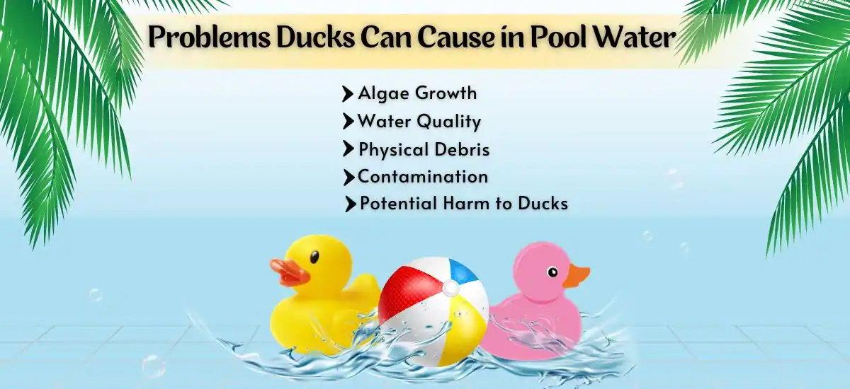 how to keep ducks out of pool