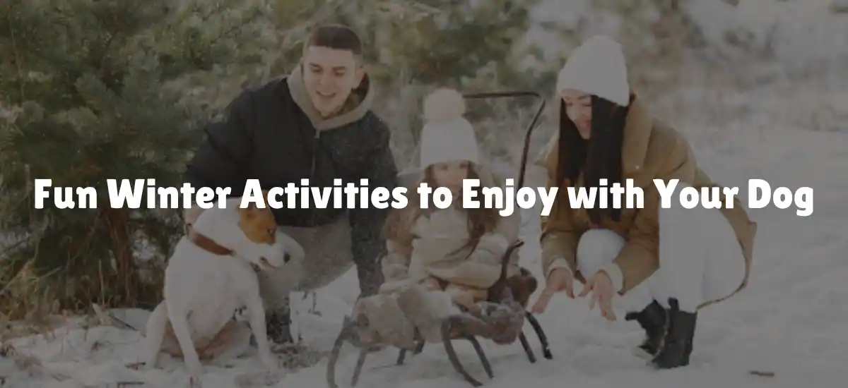 Fun Winter Activities to Enjoy with Your Dog